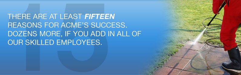 There are at least fifteen reasons for Acme’s success. Dozens more, if you add in all of our skilled employees.